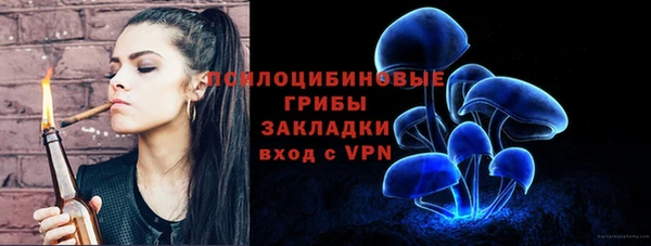 ешки Медногорск