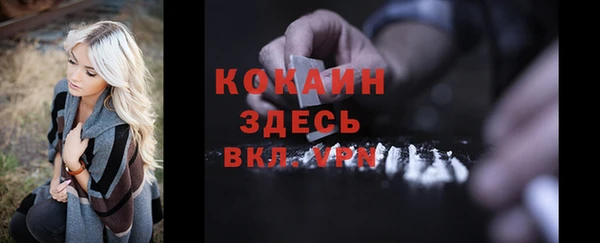 ешки Медногорск