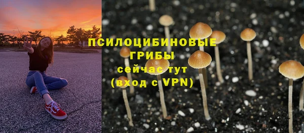 ешки Медногорск